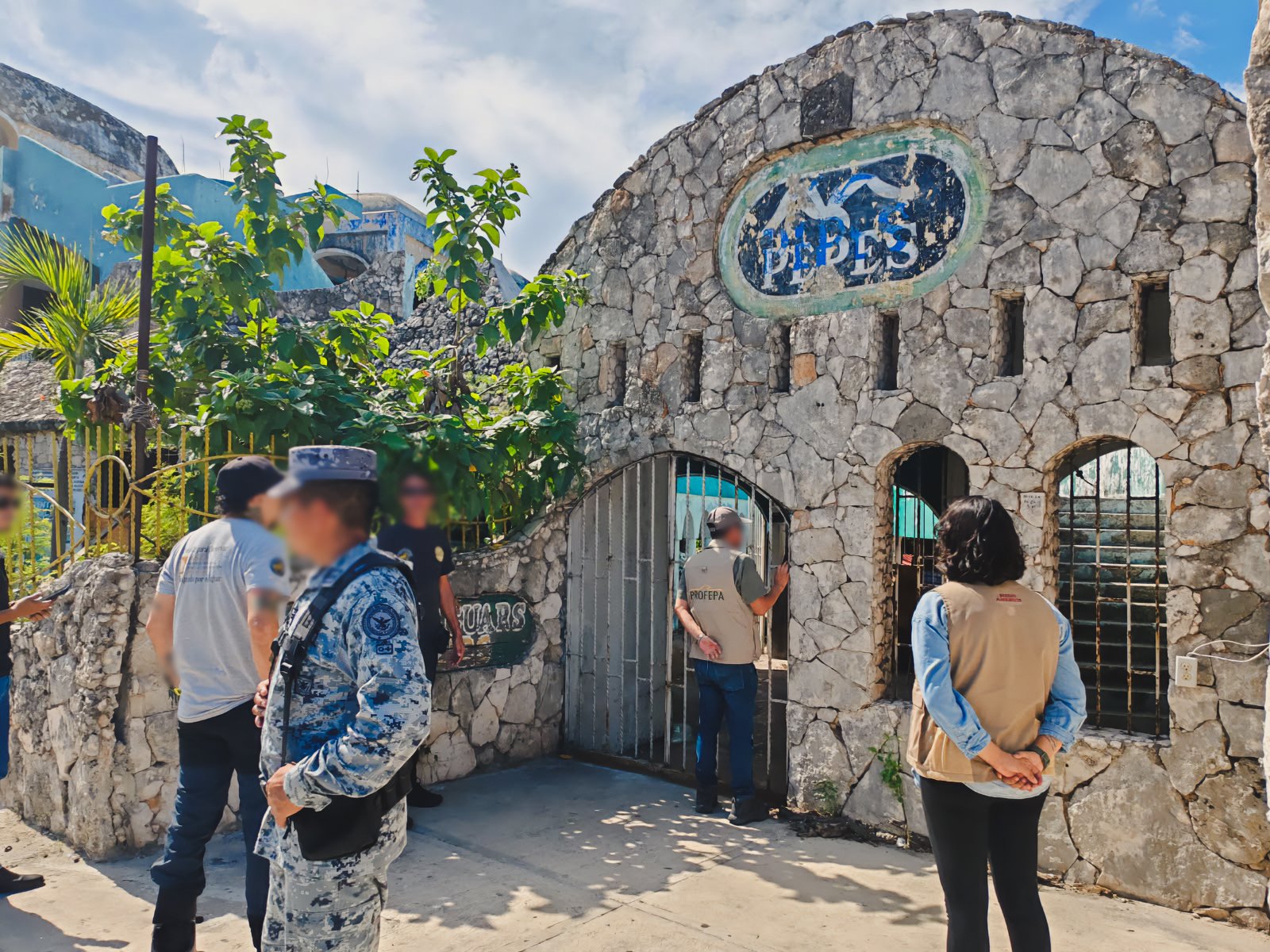 Niegan a Profepa revisar jaguar en Cancún