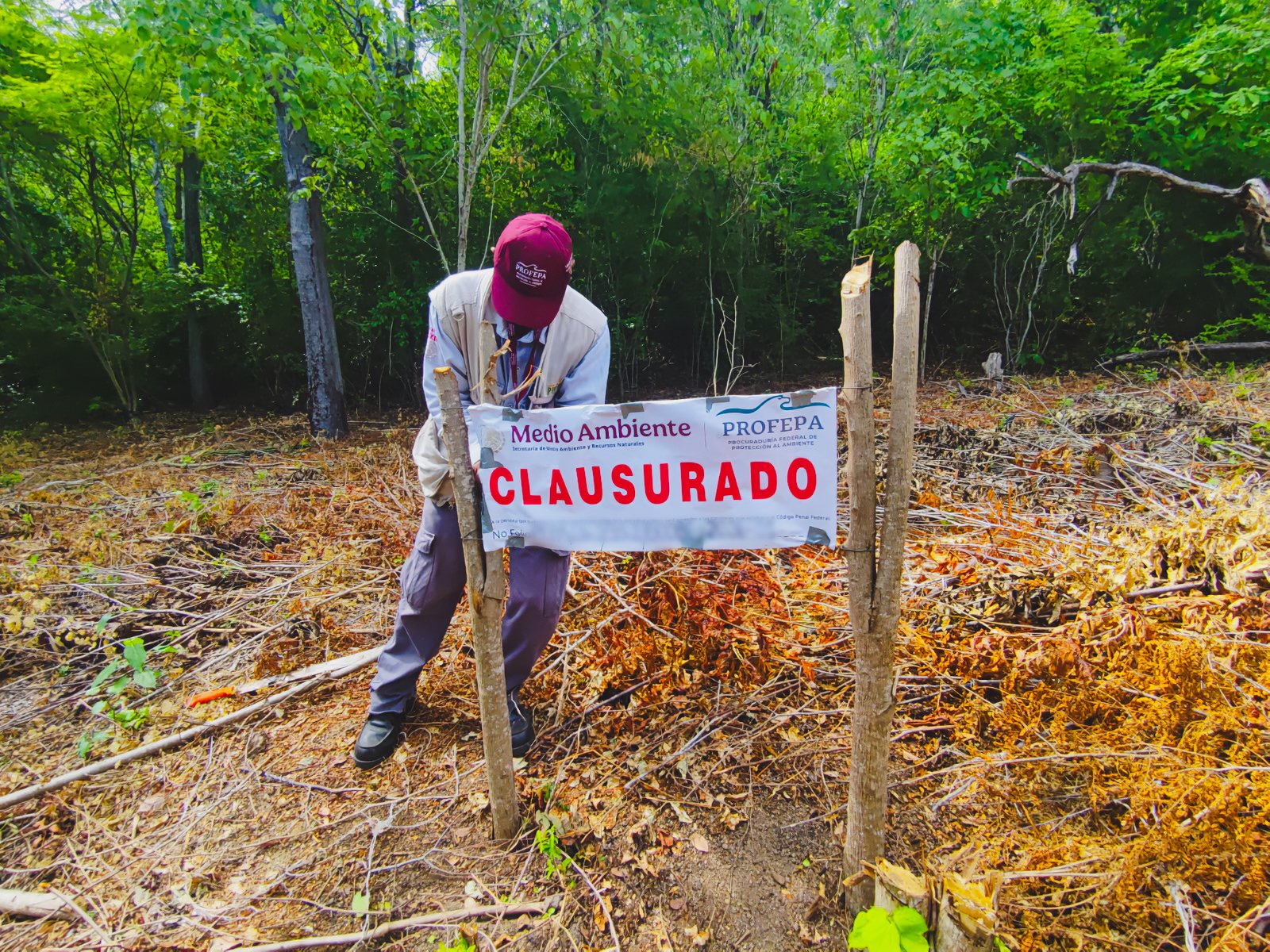 Profepa clausura tres predios en Oaxaca