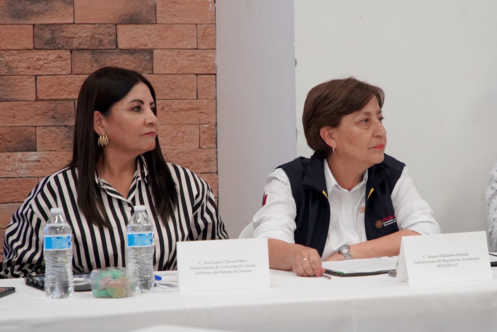 Semarnat inicia remediación en Río Sonora