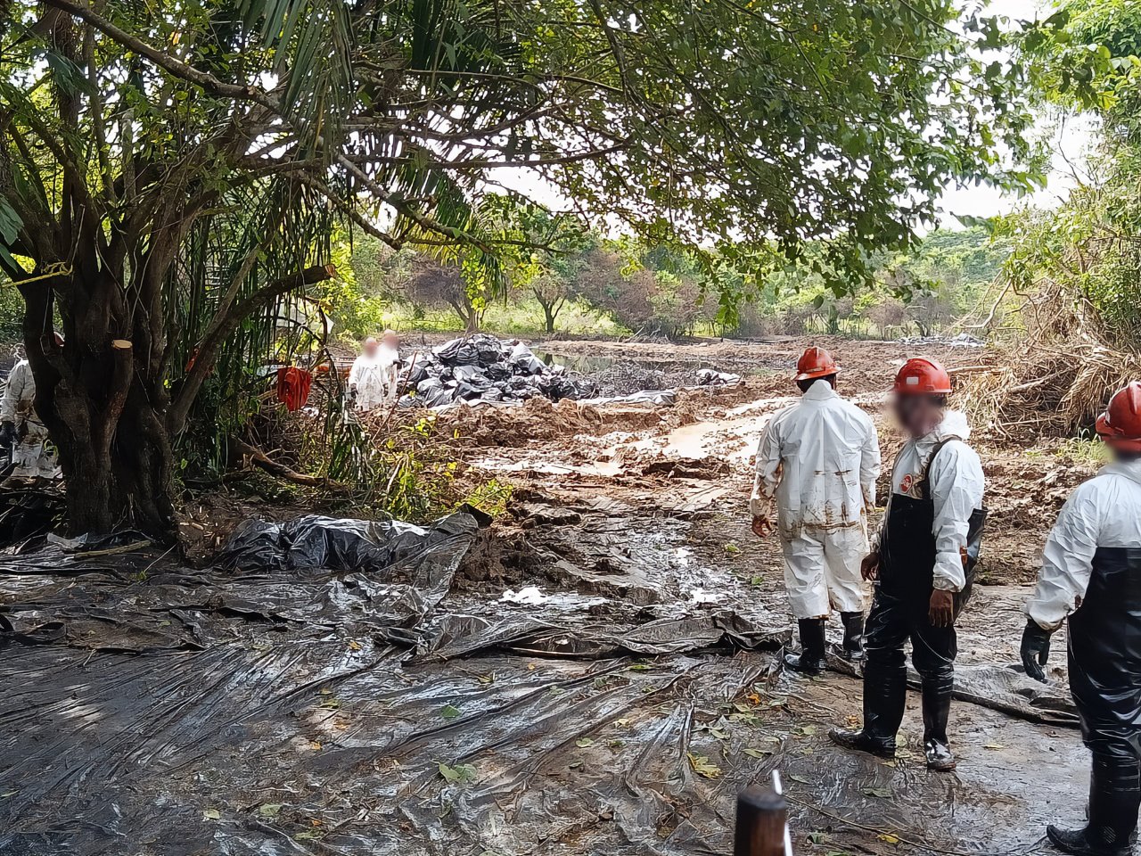 Profepa clausura planta por derrame de diésel