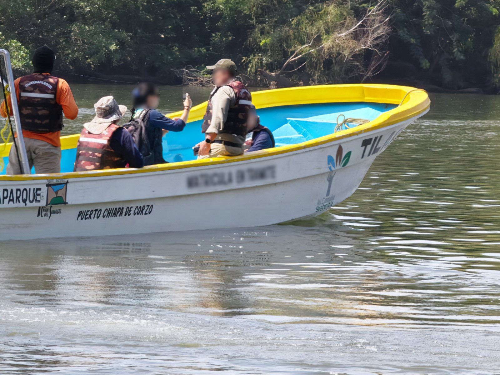 Profepa reubica 13 cocodrilos de río