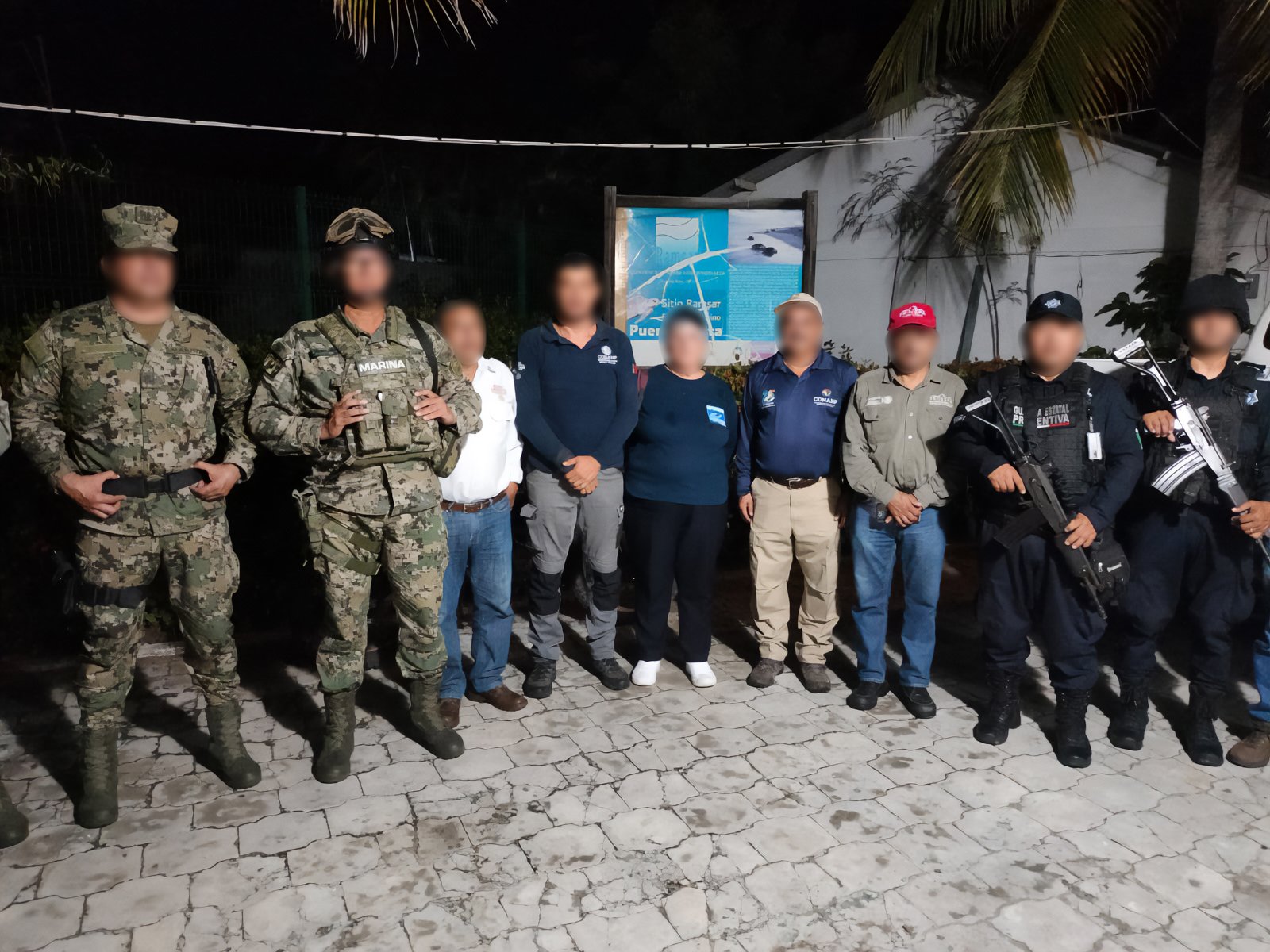 Resguardan 87 nidos de tortuga golfina