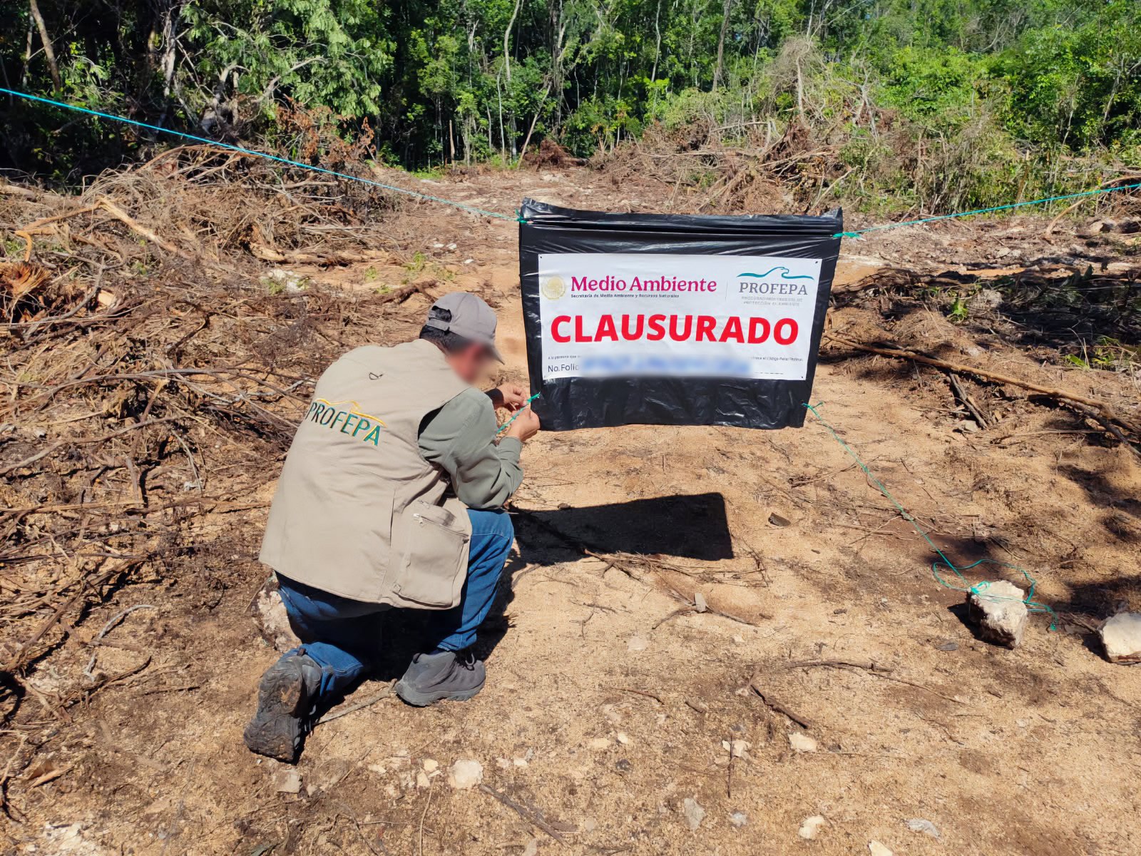 Clausura Profepa desmonte en Playa del Carmen (foto 2)