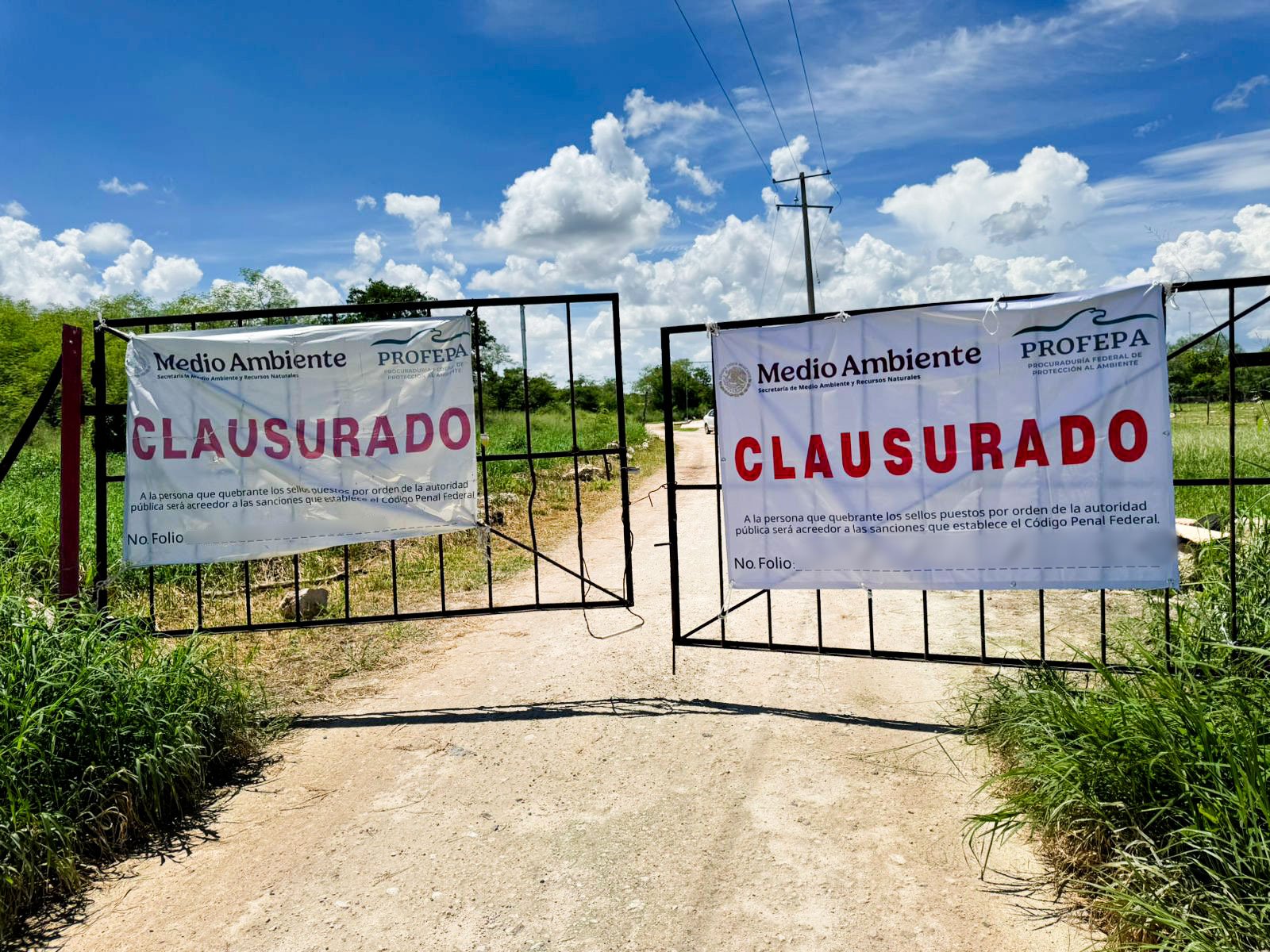 Profepa multa al sector porcícola de Yucatán (foto 2)