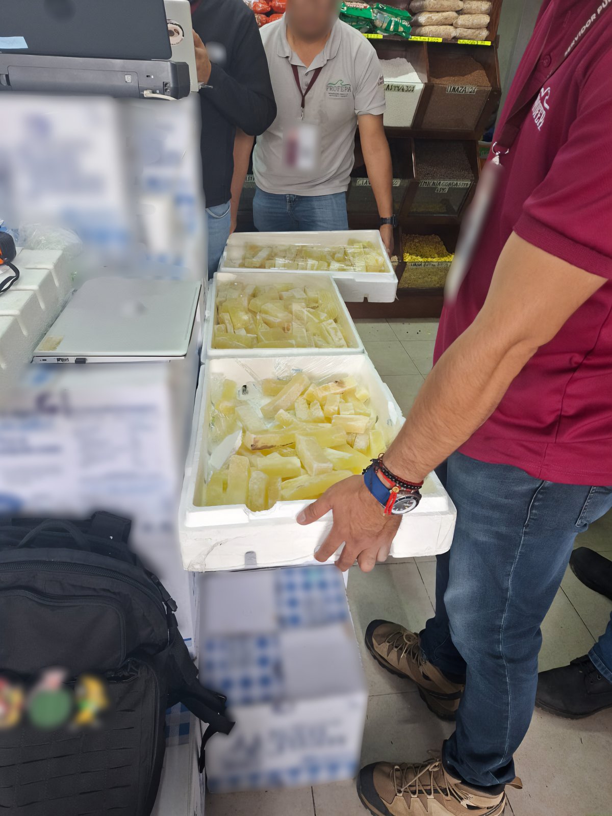 Asegura Profepa 24 kg de acitrón