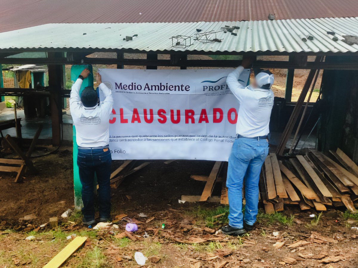 Profepa clausura aserradero El Abuelo