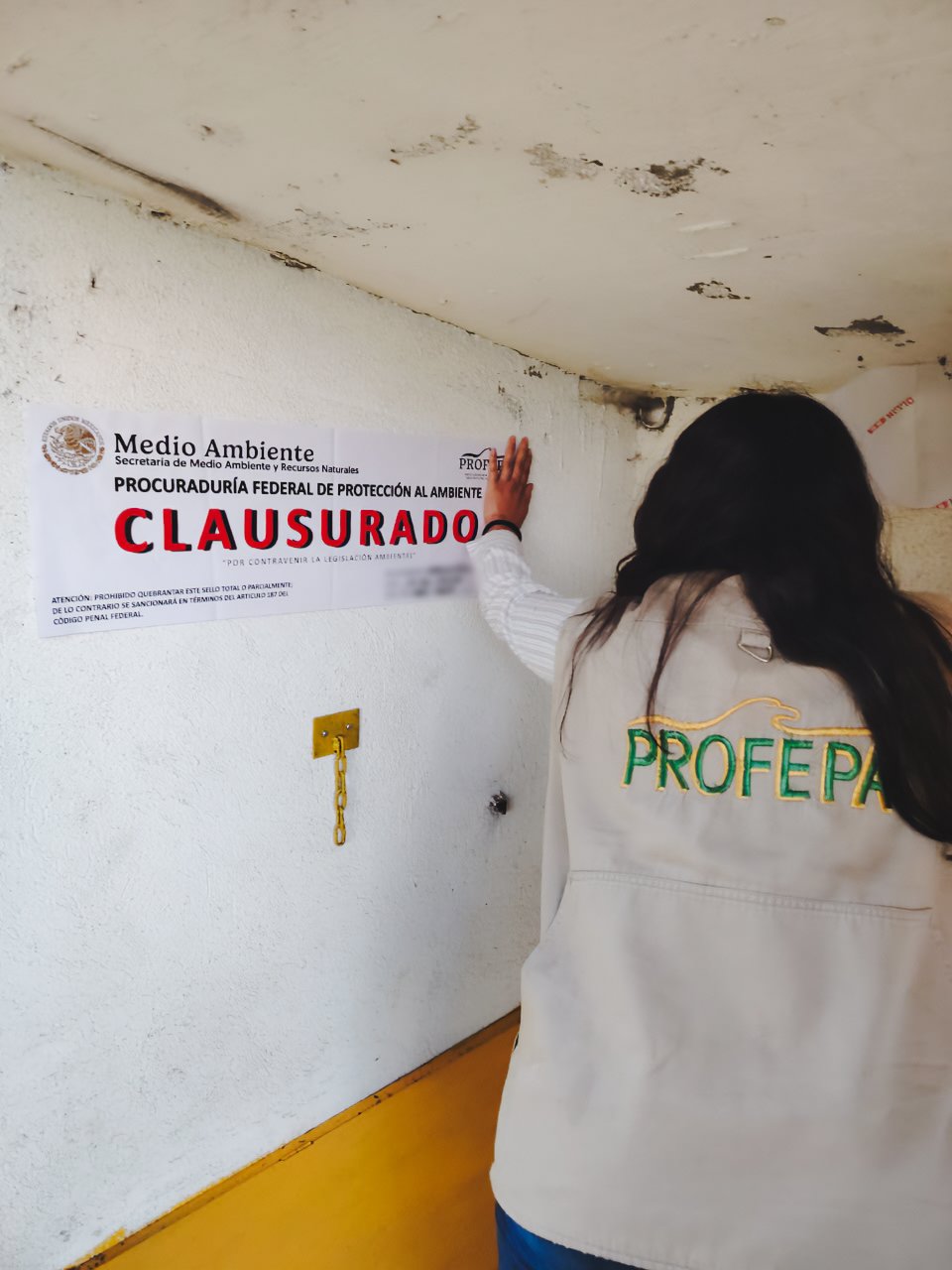 Profepa clausura parcialmente a Comercial Galgo