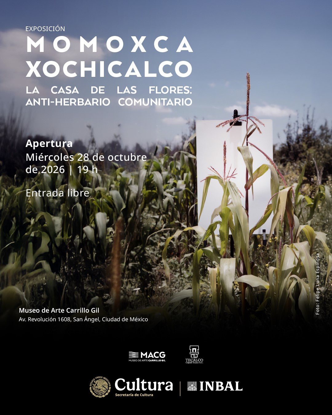 Anti-herbario comunitario llega al Carrillo Gil