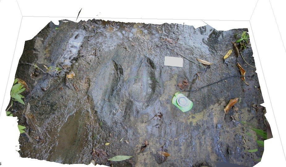 Confirman 50 huellas de dinosaurio en Apatzingán