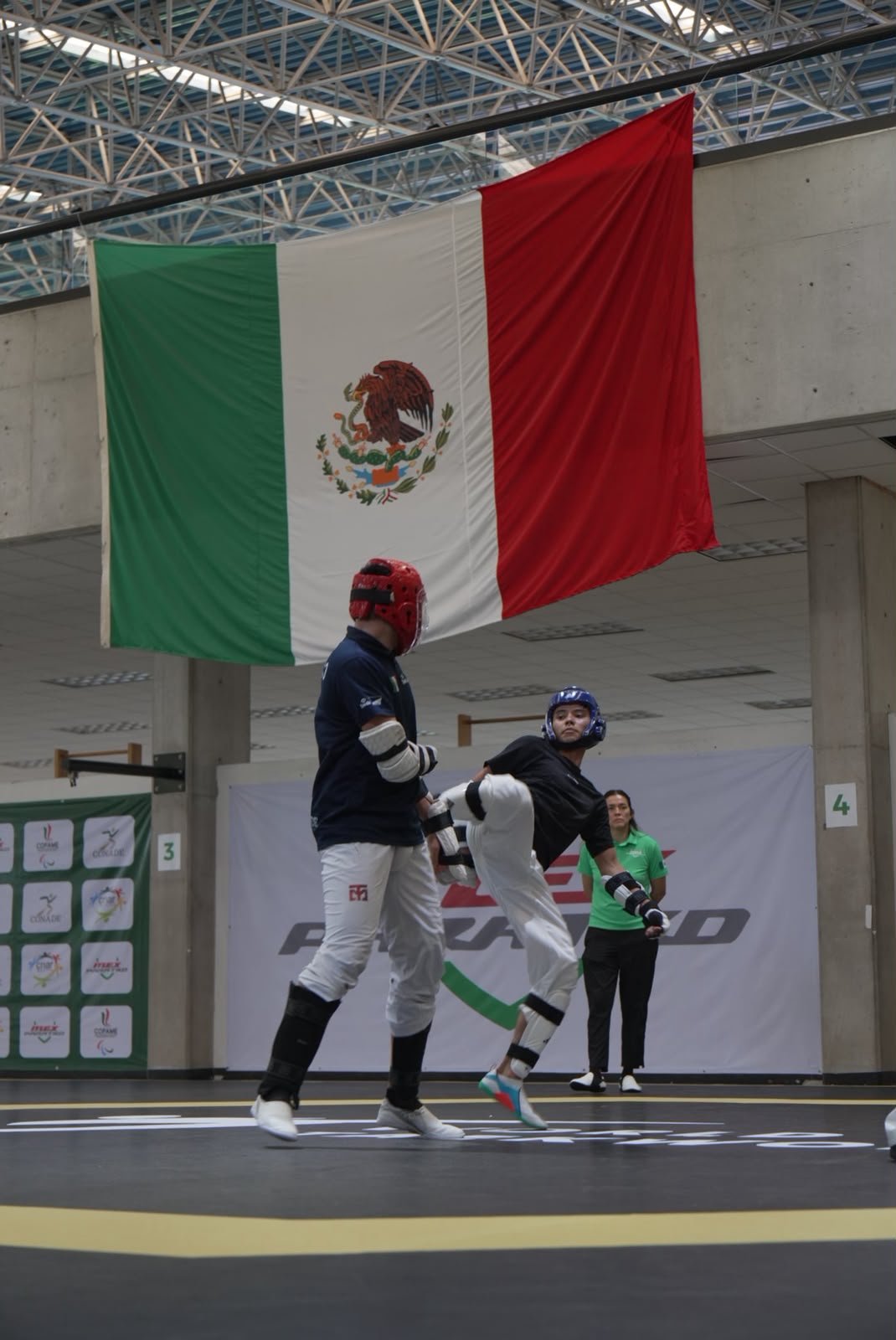 Para taekwondo mexicano gana 4 medallas en París (foto 3)