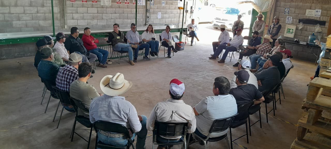 Agricultura capacita 930 productores en Durango