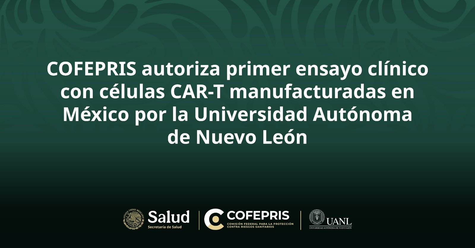 Autorizan primer ensayo CAR-T de manufactura nacional