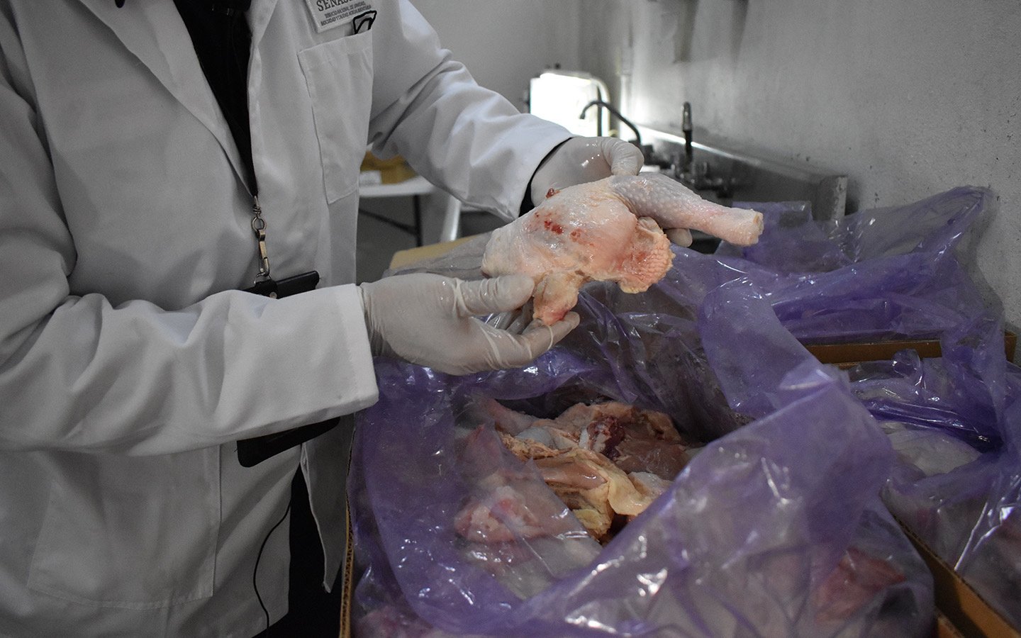 México suspende importación avícola de Brasil