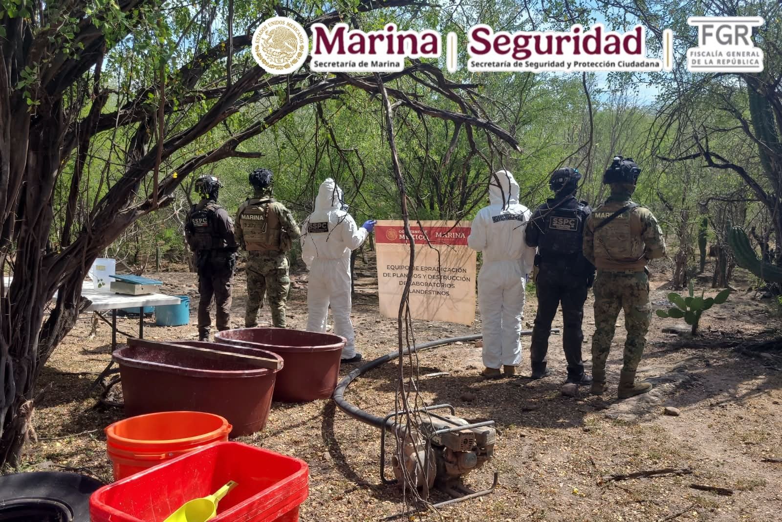 Neutralizan laboratorio de metanfetamina en Sinaloa