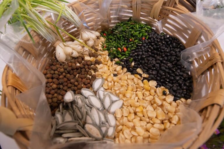 Secihti impulsa tecnologías para alimentos